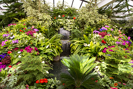 Butchart Show Greenhouse